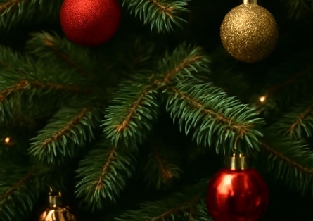 Превью новости 