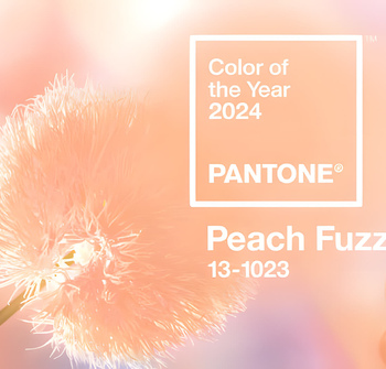 Превью новости Pantone объявил «Peach Flush» главным цветом 2024 года