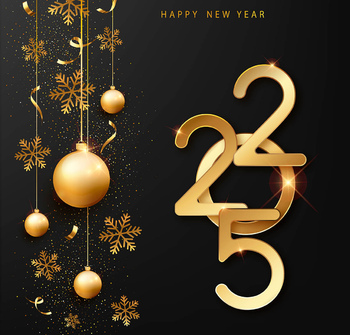 Превью новости Поздравляем с наступающим 2025 годом